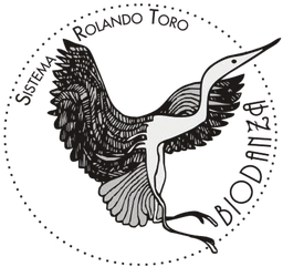 Biodanza